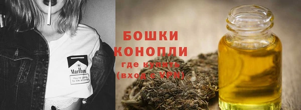 ПСИЛОЦИБИНОВЫЕ ГРИБЫ Россошь