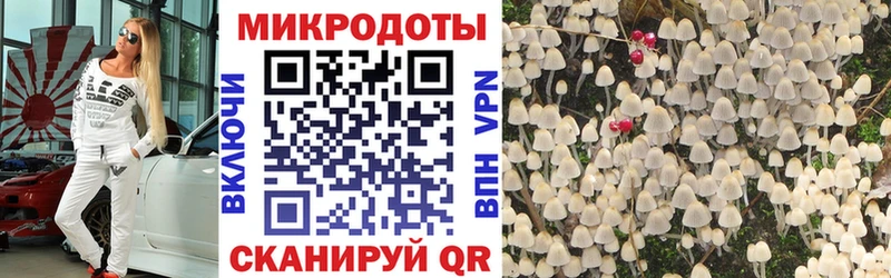 Галлюциногенные грибы мухоморы  Котельнич 